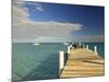 Pier, Grace Bay, Providenciales Island, Turks and Caicos, Caribbean-Walter Bibikow-Mounted Photographic Print