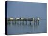 Pier in the Gironde Estuary, Talmont, Poitou Charentes, France, Europe-Michael Busselle-Stretched Canvas