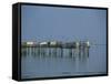 Pier in the Gironde Estuary, Talmont, Poitou Charentes, France, Europe-Michael Busselle-Framed Stretched Canvas