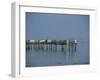 Pier in the Gironde Estuary, Talmont, Poitou Charentes, France, Europe-Michael Busselle-Framed Photographic Print