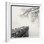 Pier in Winter Fog-Nicholas Bell-Framed Photographic Print