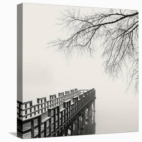 Pier in Winter Fog-Nicholas Bell-Stretched Canvas