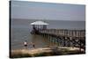 Pier On Mobile Bay-Carol Highsmith-Stretched Canvas