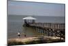 Pier On Mobile Bay-Carol Highsmith-Mounted Art Print