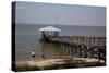 Pier On Mobile Bay-Carol Highsmith-Stretched Canvas