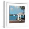 Pier One-Rick Novak-Framed Art Print