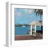 Pier One-Rick Novak-Framed Art Print