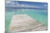 Pier over Clear Waters, Southwater Cay, Stann Creek, Belize-Cindy Miller Hopkins-Mounted Photographic Print