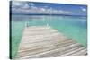 Pier over Clear Waters, Southwater Cay, Stann Creek, Belize-Cindy Miller Hopkins-Stretched Canvas