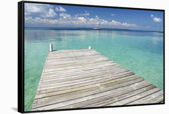 Pier over Clear Waters, Southwater Cay, Stann Creek, Belize-Cindy Miller Hopkins-Framed Stretched Canvas