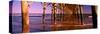Pier over the Ocean, Folly Beach Fishing Pier, Folly Beach, Folly Island, Charleston County-null-Stretched Canvas