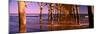 Pier over the Ocean, Folly Beach Fishing Pier, Folly Beach, Folly Island, Charleston County-null-Mounted Photographic Print