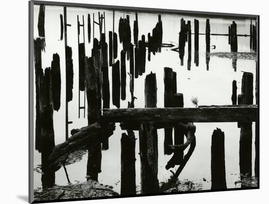 Pier Piles, Oregon, 1967-Brett Weston-Mounted Photographic Print