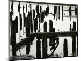 Pier Piles, Oregon, 1967-Brett Weston-Mounted Photographic Print