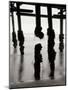 Pier Pilings 10-Lee Peterson-Mounted Photographic Print