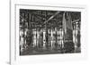 Pier Pilings 11-Lee Peterson-Framed Photographic Print