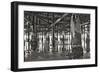 Pier Pilings 11-Lee Peterson-Framed Photographic Print