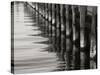 Pier Pilings 12-Lee Peterson-Stretched Canvas