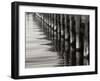 Pier Pilings 12-Lee Peterson-Framed Photographic Print