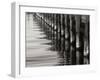 Pier Pilings 12-Lee Peterson-Framed Photographic Print