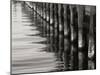 Pier Pilings 12-Lee Peterson-Mounted Photographic Print