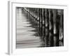 Pier Pilings 12-Lee Peterson-Framed Photographic Print