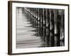 Pier Pilings 12-Lee Peterson-Framed Photographic Print