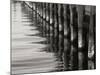Pier Pilings 12-Lee Peterson-Mounted Photographic Print