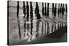 Pier Pilings 13-Lee Peterson-Stretched Canvas