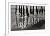 Pier Pilings 13-Lee Peterson-Framed Photographic Print