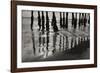 Pier Pilings 13-Lee Peterson-Framed Photographic Print