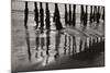 Pier Pilings 13-Lee Peterson-Mounted Photographic Print