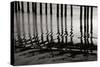 Pier Pilings 14-Lee Peterson-Stretched Canvas