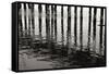 Pier Pilings 15-Lee Peterson-Framed Stretched Canvas