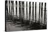 Pier Pilings 15-Lee Peterson-Stretched Canvas