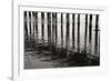 Pier Pilings 15-Lee Peterson-Framed Photographic Print