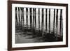 Pier Pilings 15-Lee Peterson-Framed Photographic Print