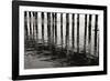 Pier Pilings 15-Lee Peterson-Framed Photographic Print