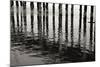 Pier Pilings 15-Lee Peterson-Mounted Photographic Print