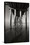 Pier Pilings 16-Lee Peterson-Stretched Canvas