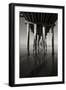 Pier Pilings 16-Lee Peterson-Framed Photographic Print