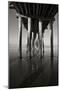 Pier Pilings 16-Lee Peterson-Mounted Photographic Print