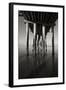 Pier Pilings 16-Lee Peterson-Framed Photographic Print