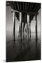Pier Pilings 16-Lee Peterson-Mounted Photographic Print