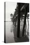 Pier Pilings 17-Lee Peterson-Stretched Canvas