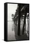 Pier Pilings 17-Lee Peterson-Framed Stretched Canvas