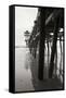 Pier Pilings 17-Lee Peterson-Framed Stretched Canvas