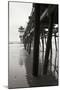 Pier Pilings 17-Lee Peterson-Mounted Photographic Print