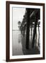 Pier Pilings 17-Lee Peterson-Framed Photographic Print