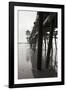 Pier Pilings 17-Lee Peterson-Framed Photographic Print